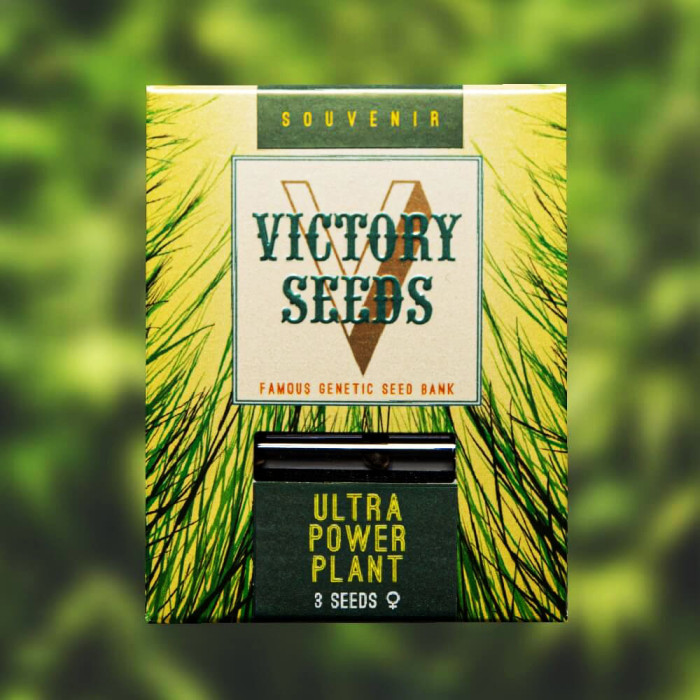 Насіння коноплі Ultra Power Plant fem. Victory Seeds