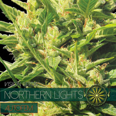 Northern Lights auto feminised (Vision Seeds)