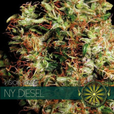 NY Diesel feminised (Vision Seeds)