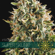 Super Skunk feminised (Vision Seeds)