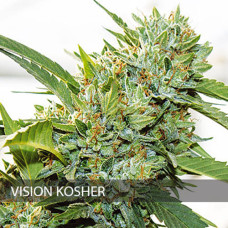 Vision Kosher feminised (Vision Seeds)