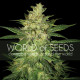 Семена конопли Colombian Gold Ryder autofem. World of Seeds