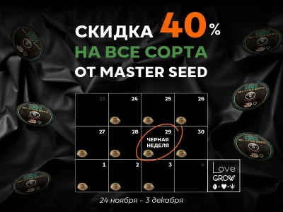 Черная неделя — время для выгодных покупок!